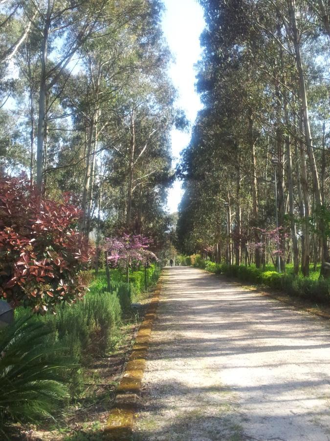Il Nibbio Reale Country House Rocca d'Evandro Zewnętrze zdjęcie