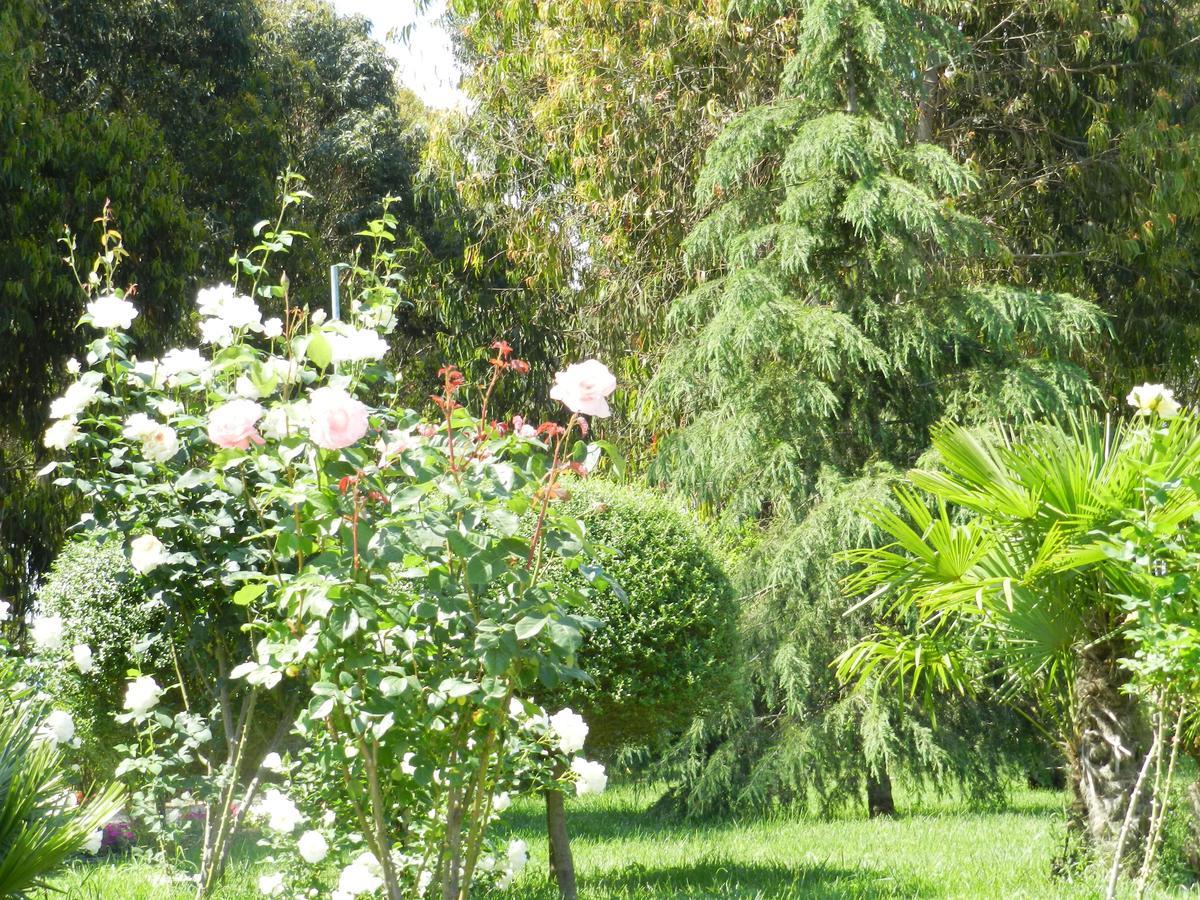 Il Nibbio Reale Country House Rocca d'Evandro Zewnętrze zdjęcie